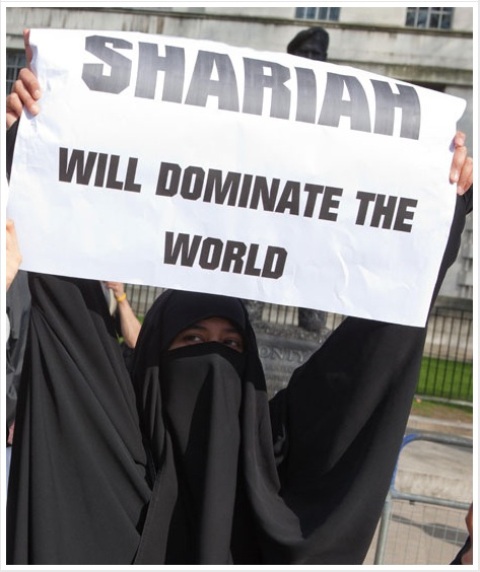 burqa sharia brussels
