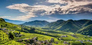 colline del prosecco