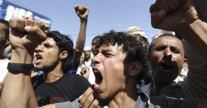 unhcr decreto